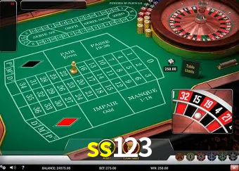 VIP Casino ss123
